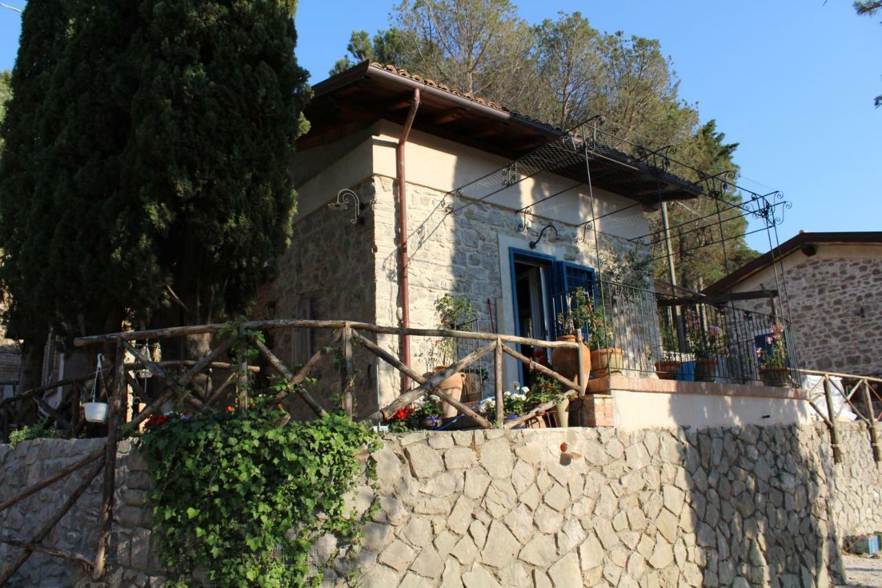 فيلا تيراتشينافي Casa Azzurra المظهر الخارجي الصورة